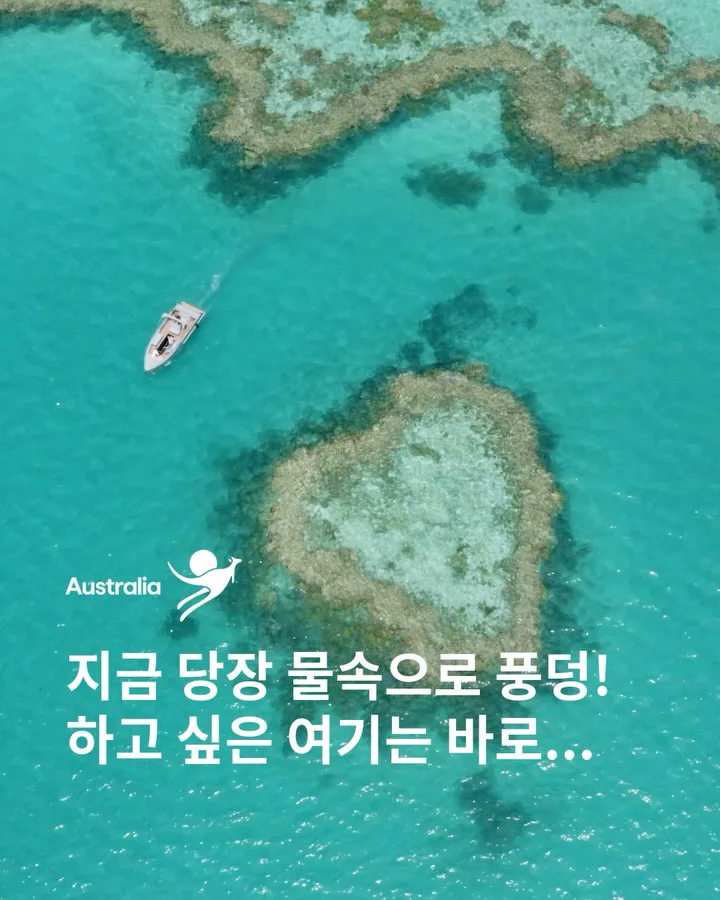 TOURISM AUSTRALIA 호주정부관광청