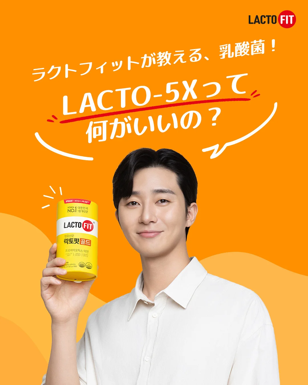 LACTOFIT 락토핏