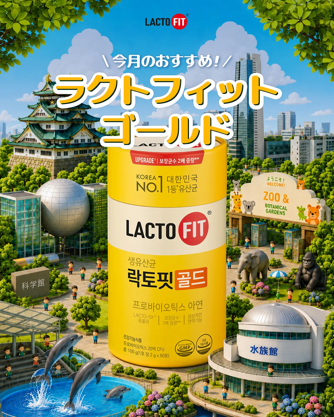 LACTOFIT 락토핏