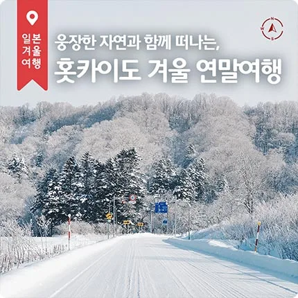 호텔스닷컴 호텔스닷컴