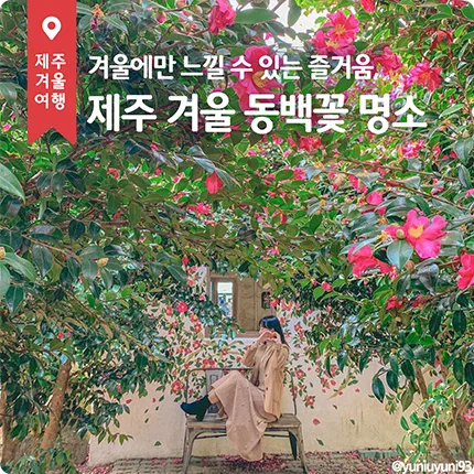 호텔스닷컴 호텔스닷컴