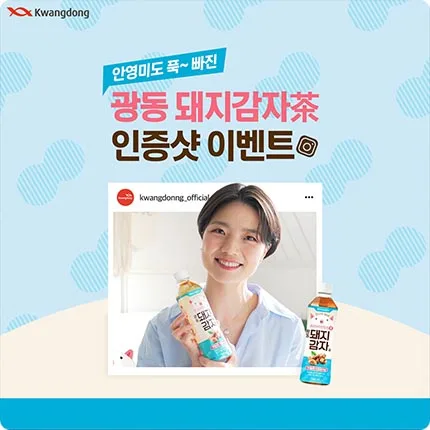 광동제약 돼지감자차 광동제약 돼지감자차