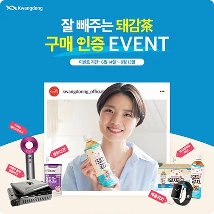광동제약 돼지감자차 광동제약 돼지감자차