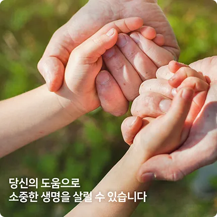 UCB Korea UCB Korea