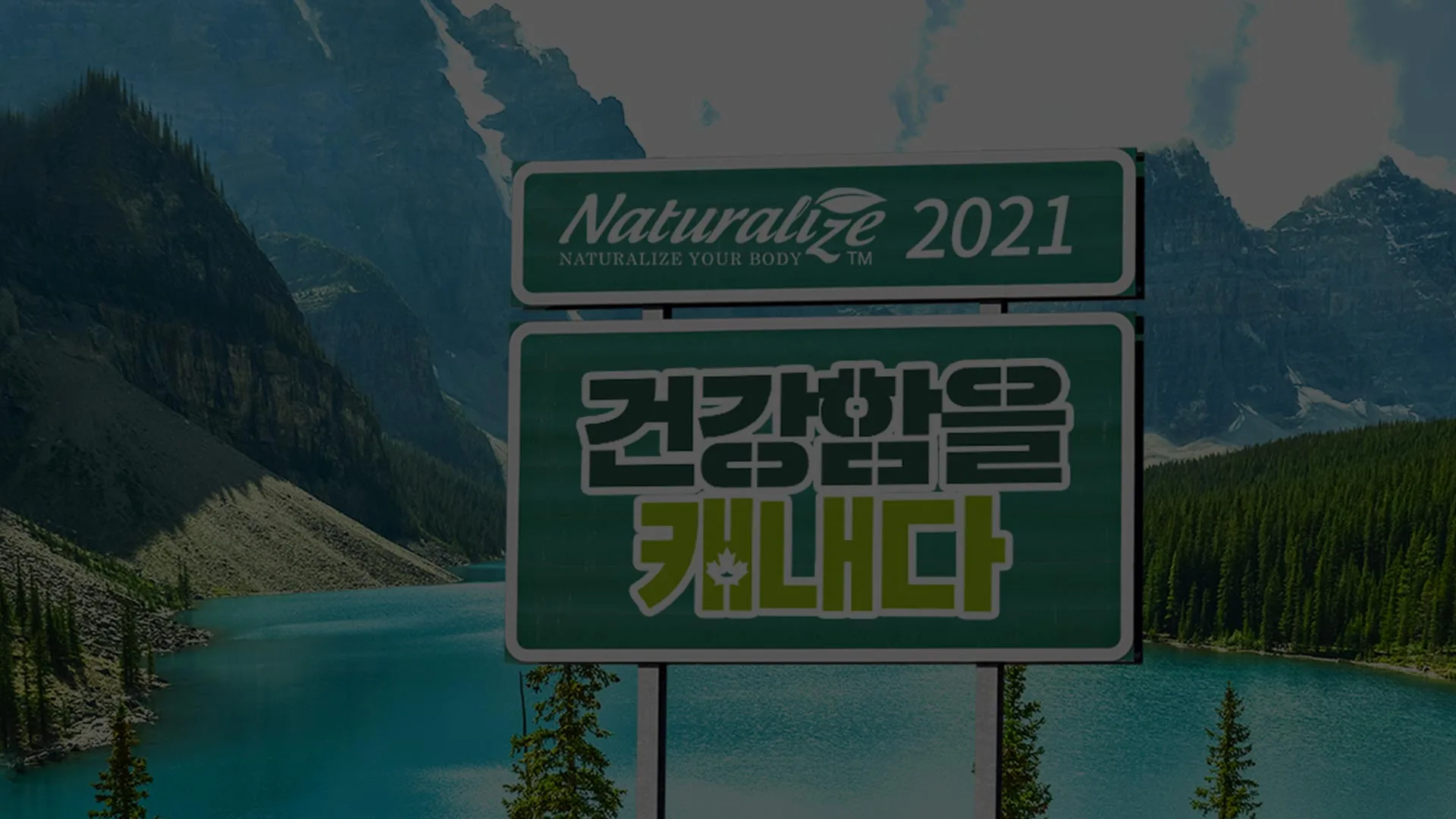 네추럴라이즈 네추럴라이즈