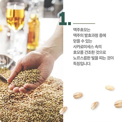 네추럴라이즈 네추럴라이즈