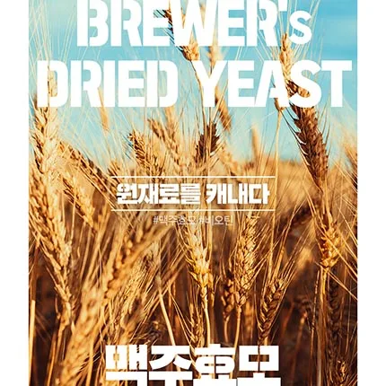 네추럴라이즈 네추럴라이즈